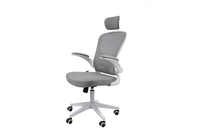 Cadeira Ergonômica Eurynom 1 Cadeira Ergonômica Eurynom